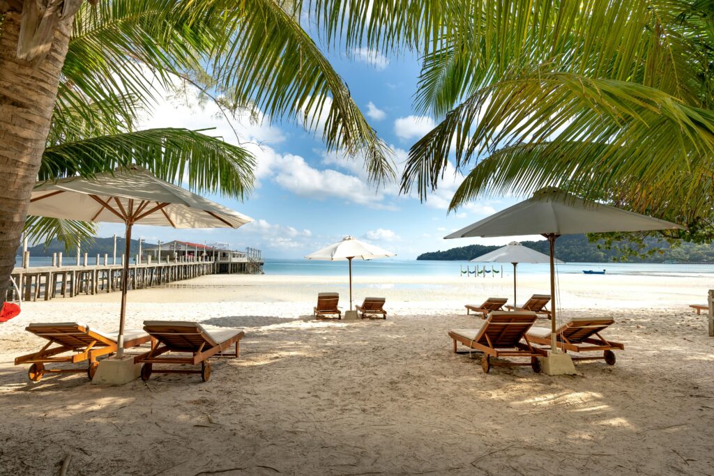 pexels-photo-3355777-3355777 Relaxing tropical beach view with palm trees, umbrellas, and lounge chairs on a sunny day.
