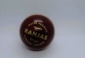 Leather Cricket Red Balls 4 piece – Premium Quality – 50 overs ball, 156 Gm