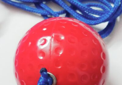 cricket-hanging-ball-1